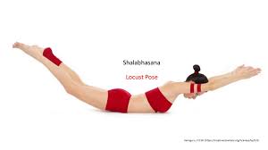 How many benefits do you know about Shalabhasana (Locust Pose) ?