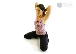 bhadrasana-gracious-pose