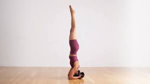 sirsasana-headstand-pose