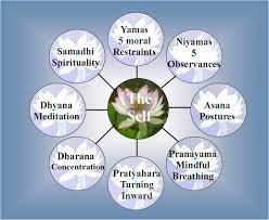 what-are-the-eight-limbs-of-patanjali-yoga